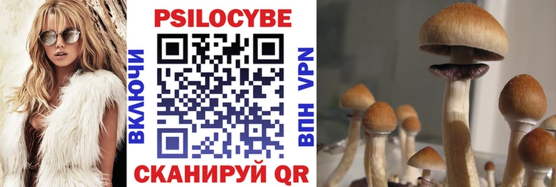 Галлюциногенные грибы Cubensis  наркотики  Гвардейск 